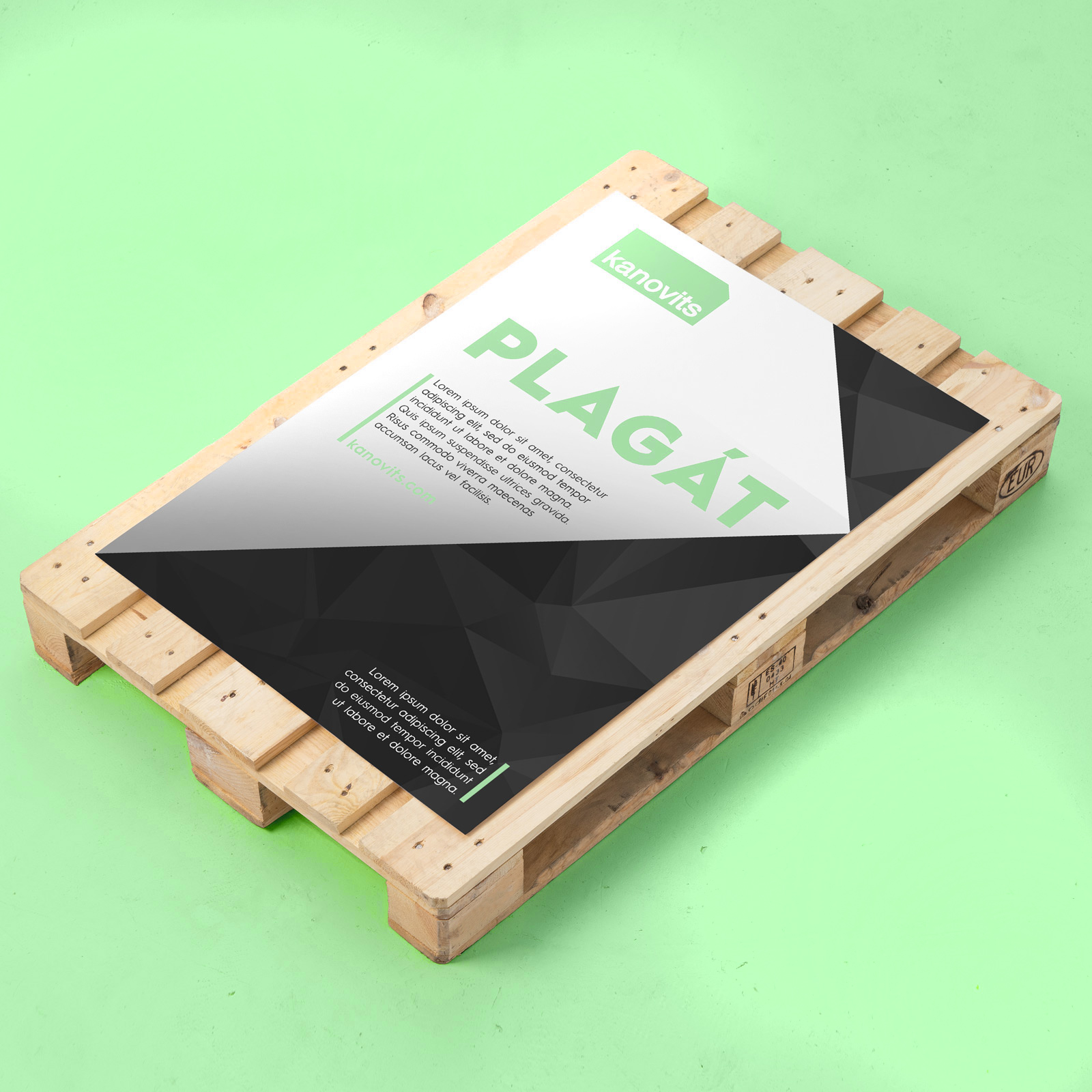 Plagáty štandardné rozmery